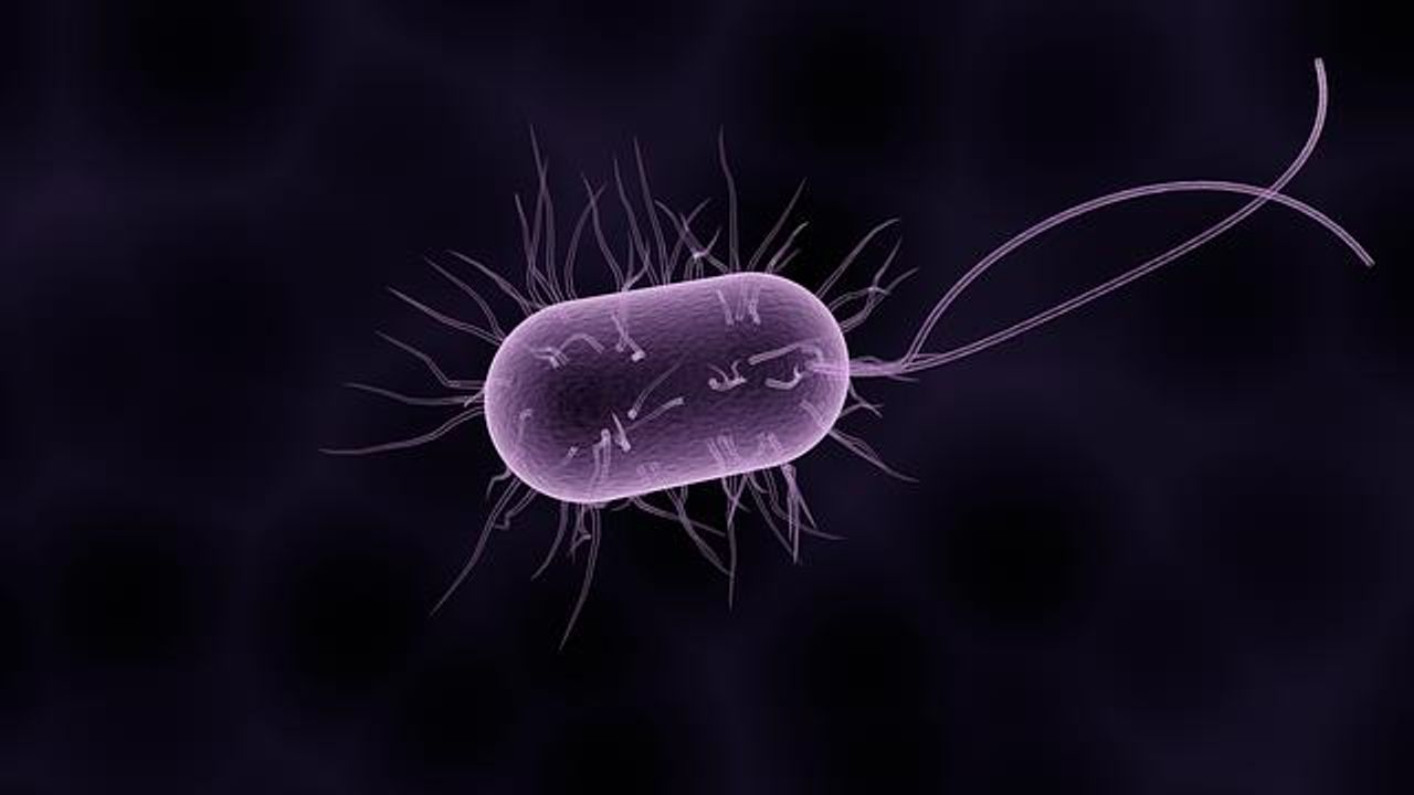 Bacteria Alter Gene Expression To Evade Bacteriophage In Vivo
