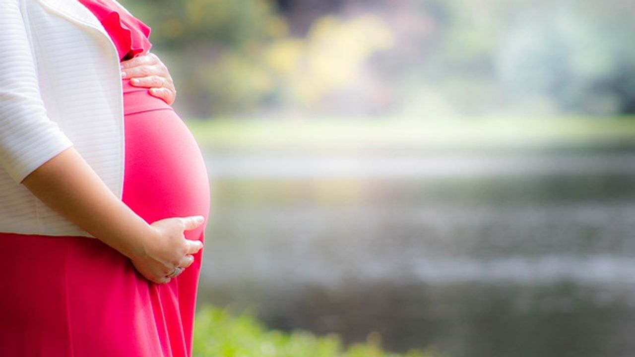 Unborn Babies May Be Exposed to Inhaled Nanoparticles That Cross the Placenta