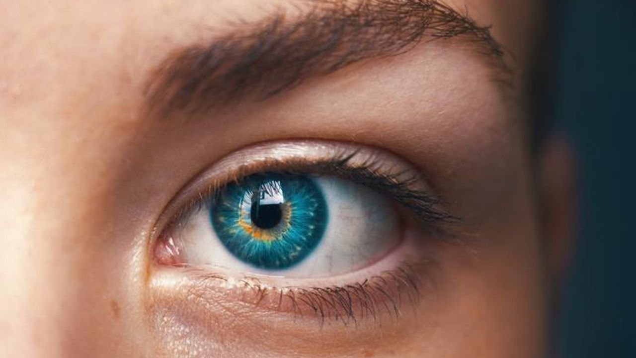 Pupil Response Indicates Whether People Have a Lack of Visual Imagination