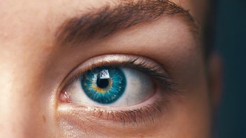 Pupil Response Indicates Whether People Have a Lack of Visual Imagination