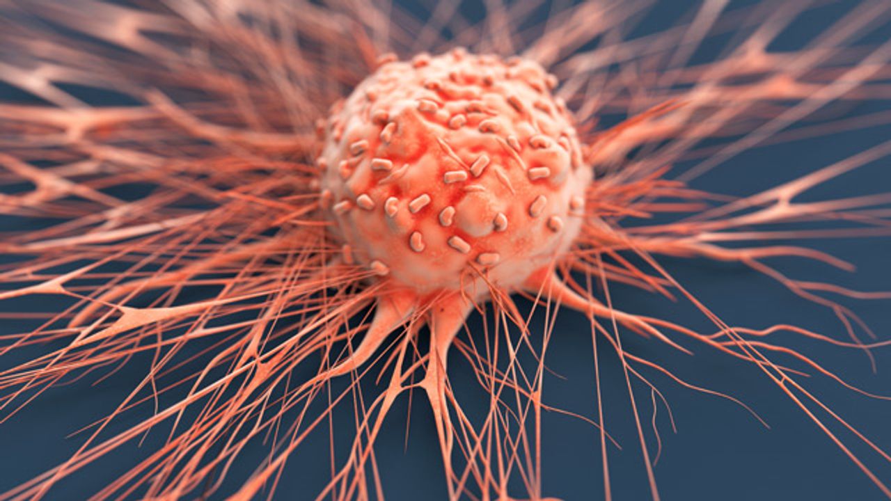 Cryo-EM Reveals Intricate Details of Key Protein in Prostate Cancer