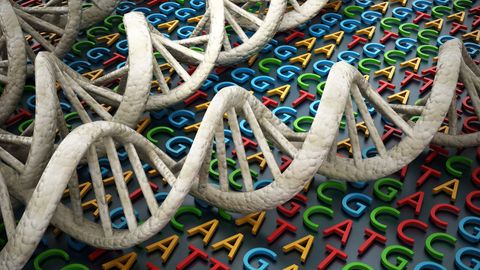 A Quest To Map the World’s Genomic Diversity