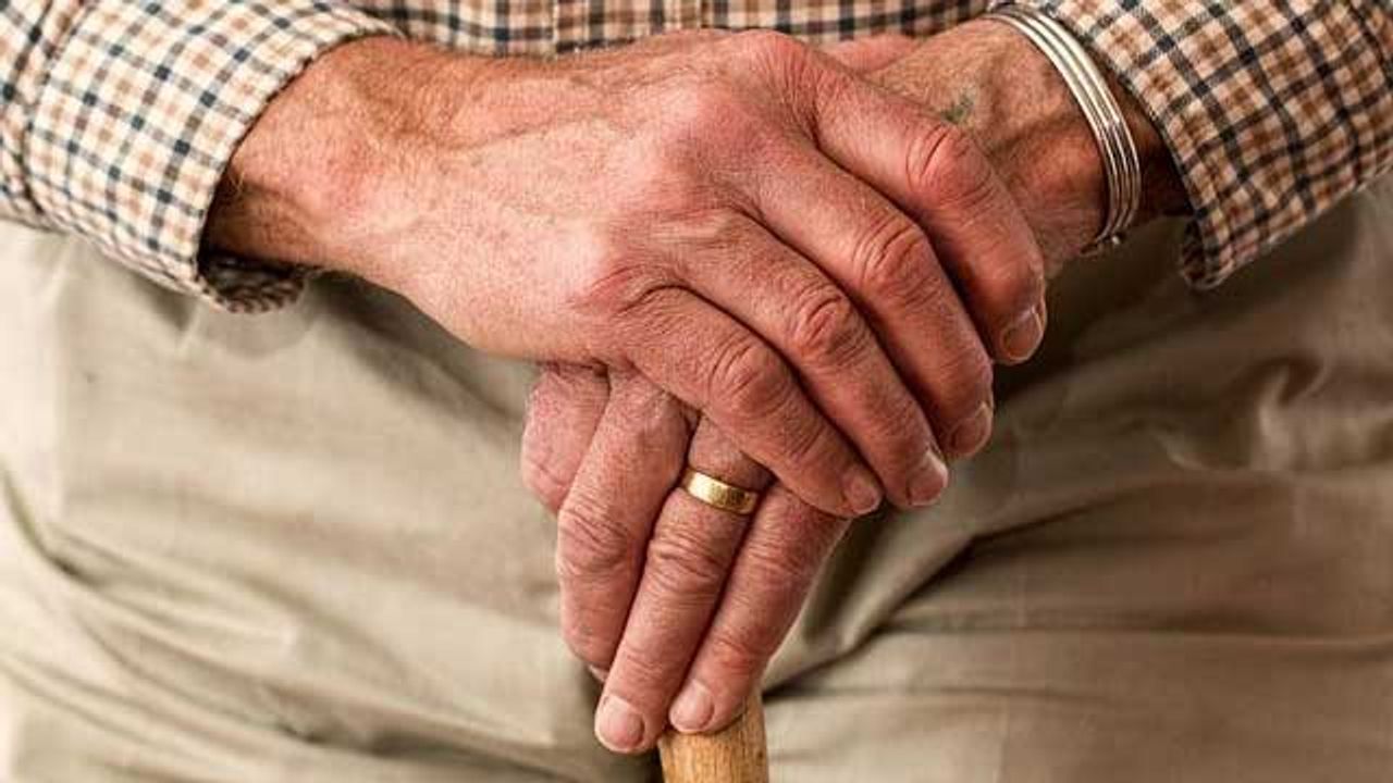 Sifting Through a Haystack of Genes Reveals New Alzheimer’s Disease Insights