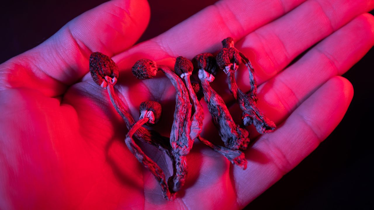 Exploring How VR Could Be Used in Psychedelic-Assisted Psychotherapy
