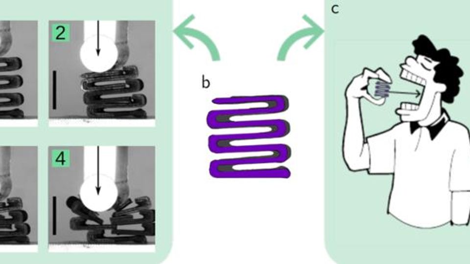 Scientists Strive for the Perfect Chocolate content piece image