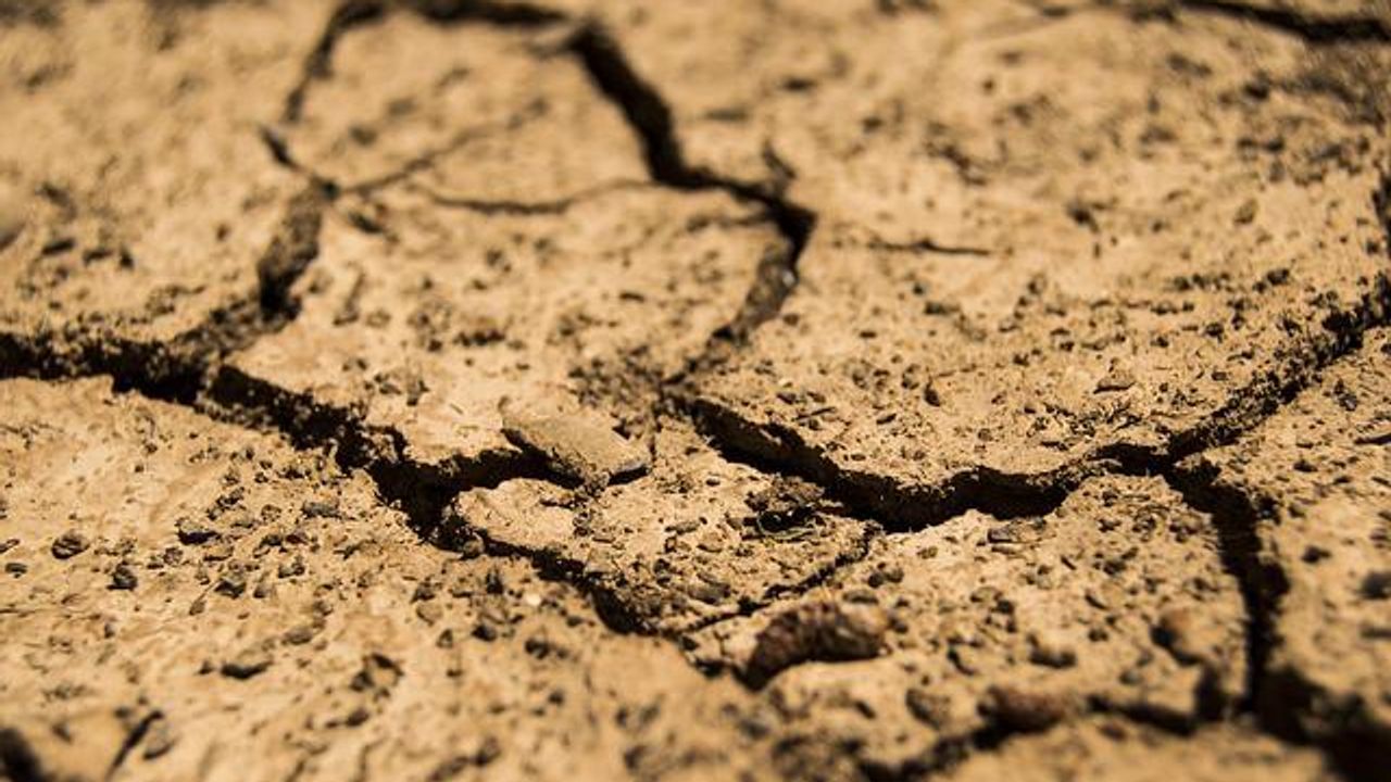 Soil Pore Networks Control Carbon Storage