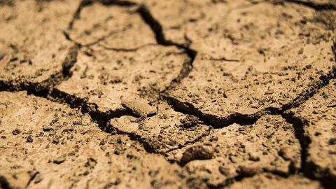 Soil Pore Networks Control Carbon Storage