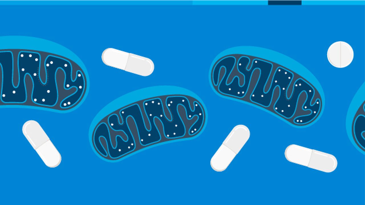 Mitochondrial Toxicity in Drug Discovery