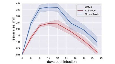 Skin Bacteria Enhance Immune Response to Smallpox Vaccine in Mice