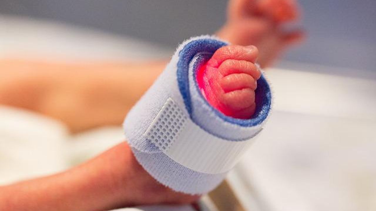 Gut Viruses May Warn of Impending Deadly Disease in Premature Infants