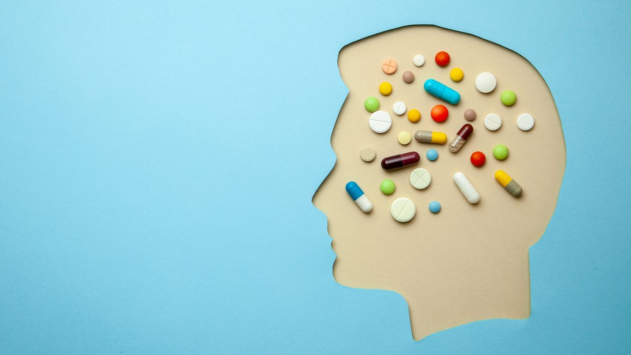 Developing Therapeutics for Huntington’s Disease: Challenges, Opportunities and the Future