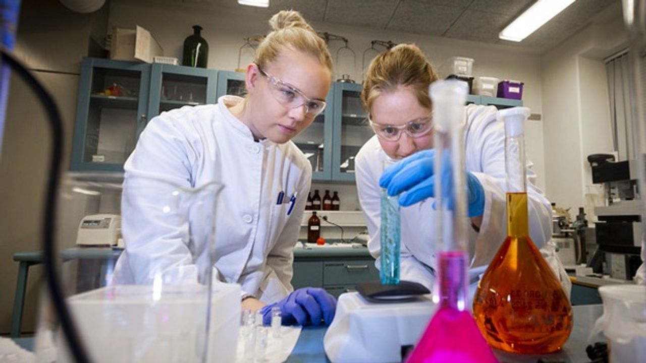 Icelandic Forensic Toxicology Laboratory Uses Matrix Gemini LIMS To Report on Drunk/Drug Driving and Uncover Criminal Activity