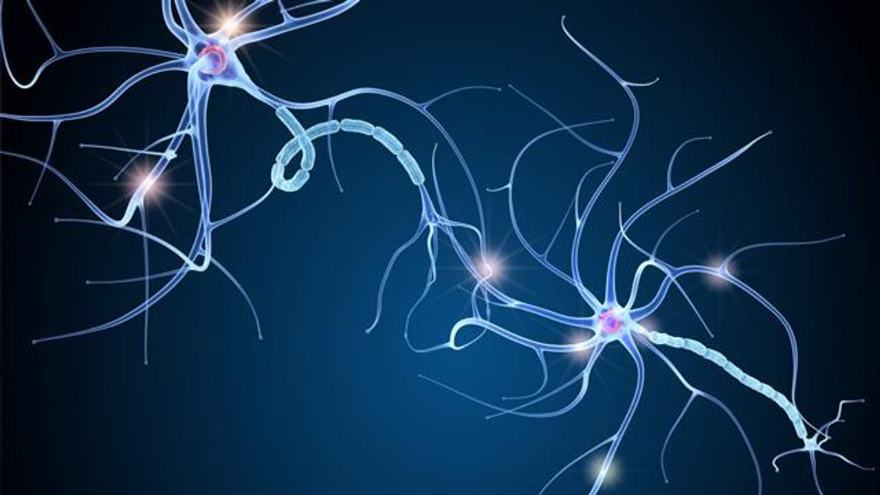 Treatment Reduces Inflammation in Mouse Model of Multiple Sclerosis