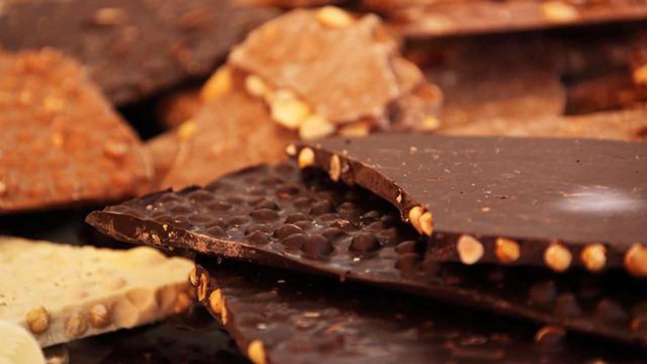 What Are the Risks of Salmonella in Chocolate?