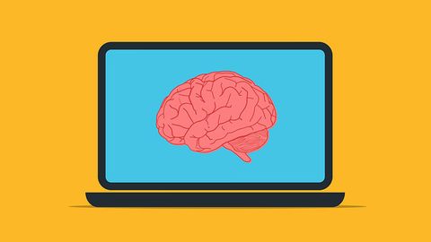 Virtual Brain Helps Model the Effects of Aging on the Mind