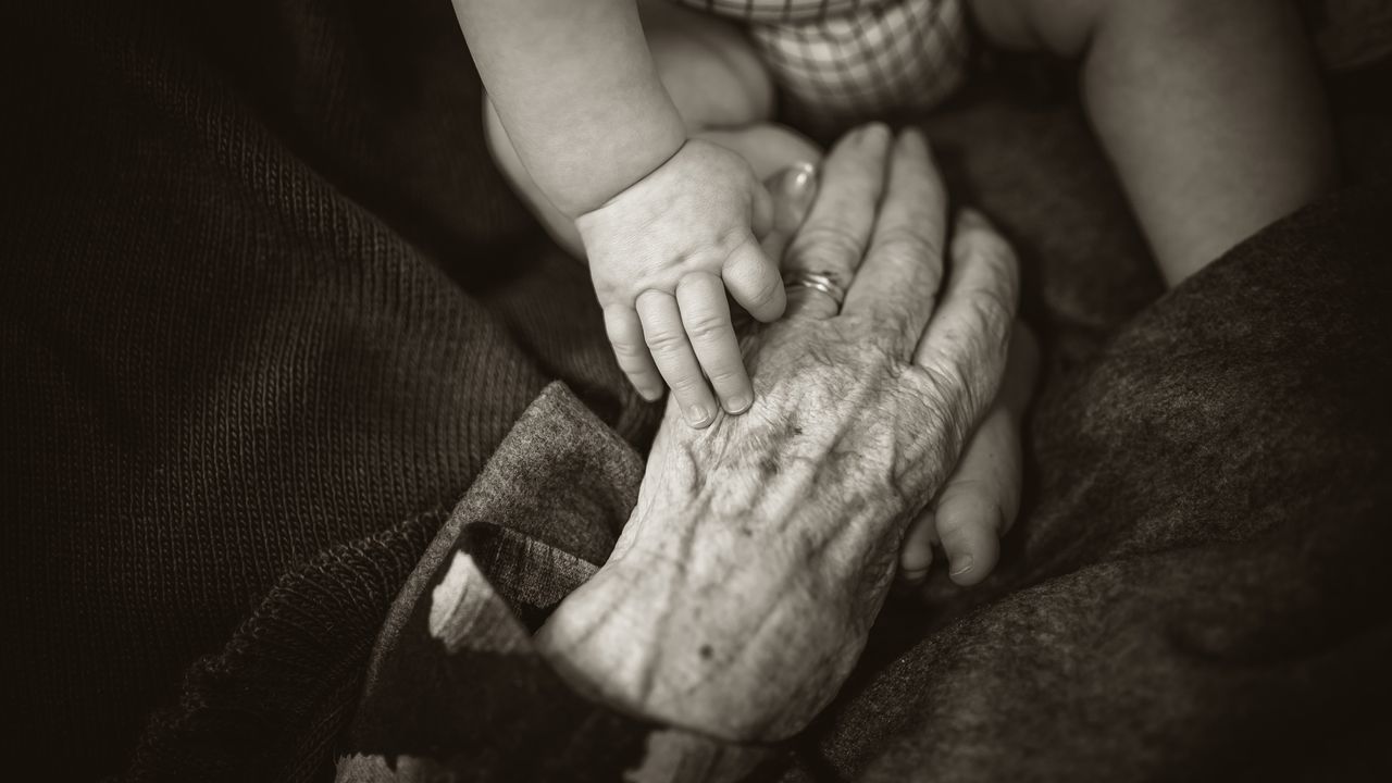 Link Between Excessive Napping and Alzheimer's Disease Explored in New Study
