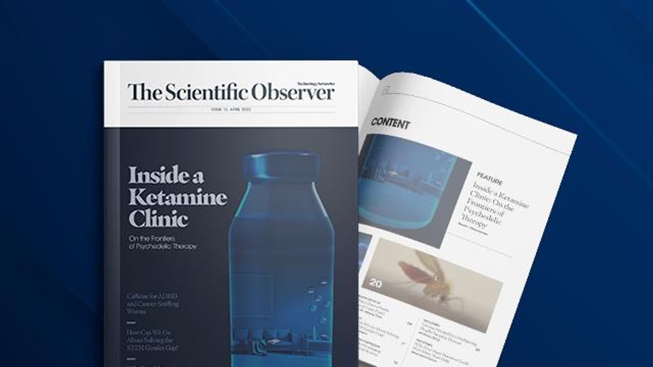 The Scientific Observer Issue 13