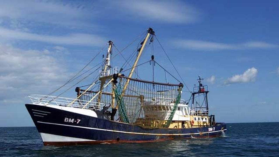 Sustainably Cultivating the Ocean To Provide Food for the Future content piece image