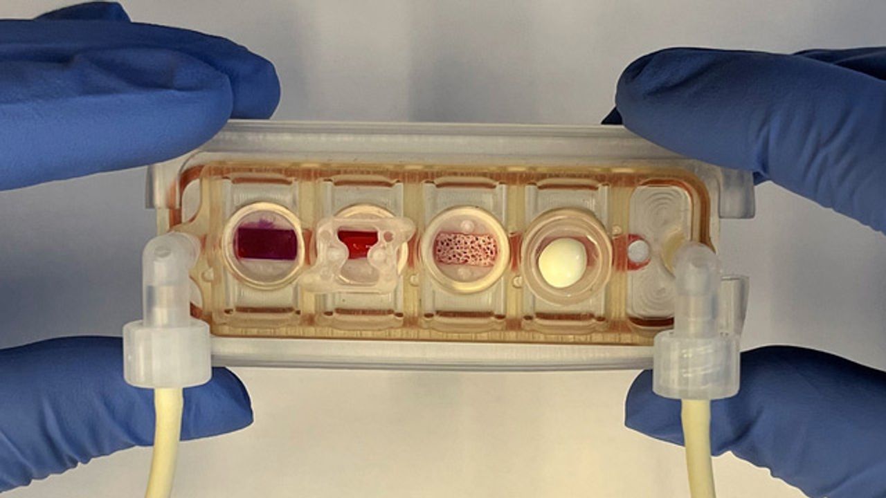 Novel Plug-and-Play Multi-Organ Chip Developed