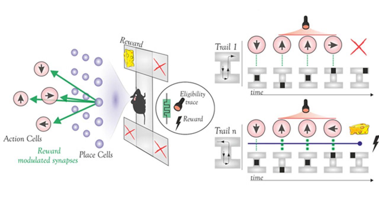 Low-Energy Device Lights Up Artificial Neuronal Networks