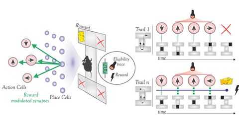 Low-Energy Device Lights Up Artificial Neuronal Networks