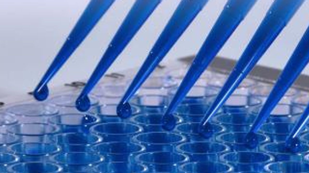 Improving Efficiency in Drug Discovery and Preclinical Development