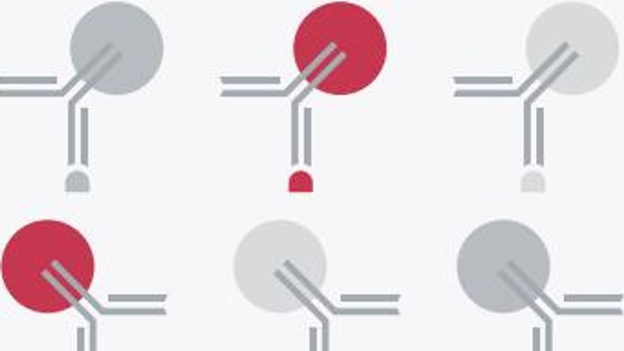 Streamline Antibody Labeling Workflows