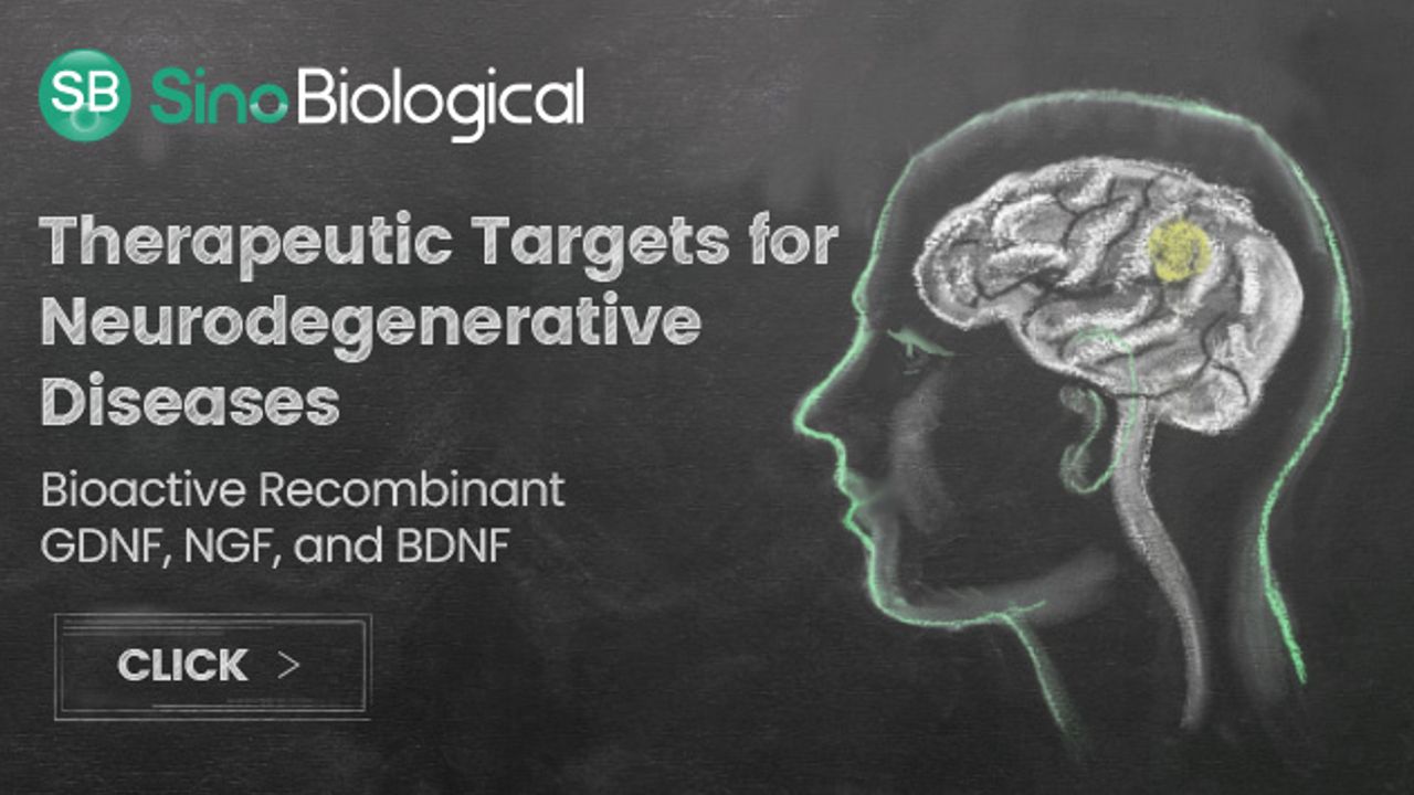 Therapeutic Targets for Neurodegenerative Diseases