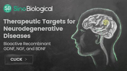 Therapeutic Targets for Neurodegenerative Diseases