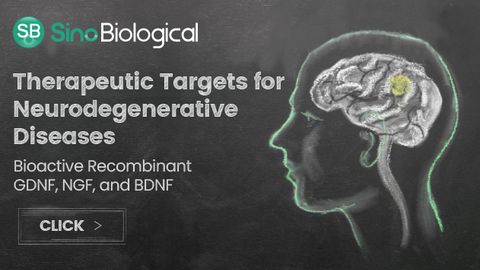 神经退行性疾病的治疗靶点