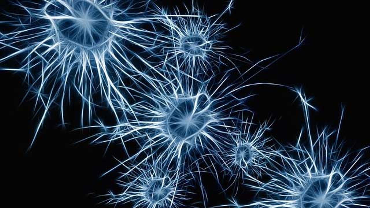 Neurons That Boost Restorative Sleep Identified