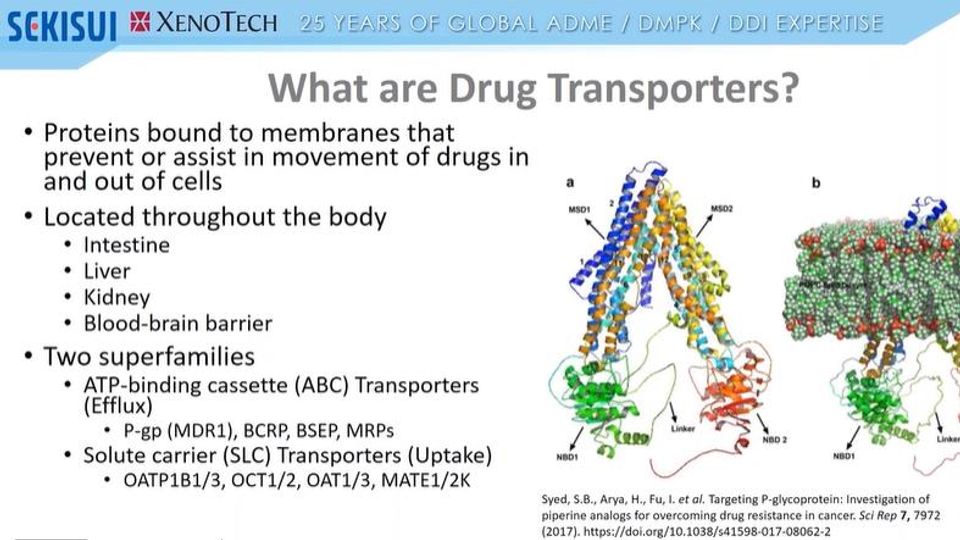 <i>In Vitro</i> DDI Drug Transporter Studies | ADME 101 Webinar: Efflux and Uptake Transporters content piece image