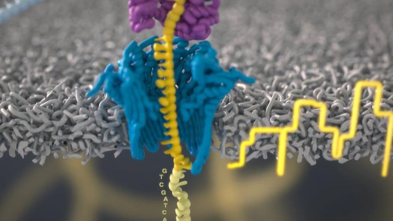 Adaptive Sampling: Target Regions of DNA in Real Time