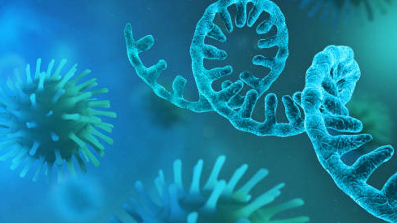 Quality Assurance in IVT RNA Vaccine Development