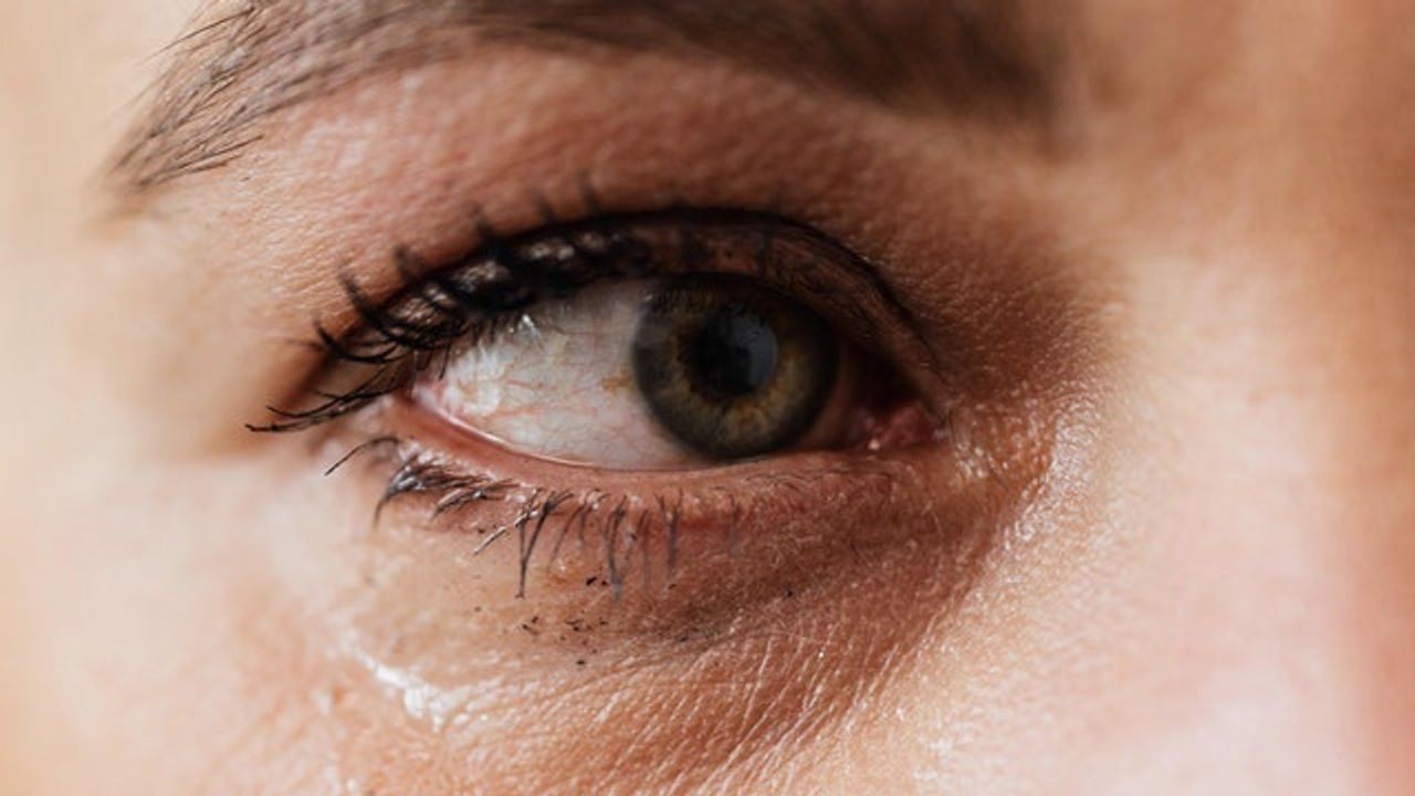 3D Model of Tear Ducts Aids Discovery of Drugs To Treat Dry Eyes