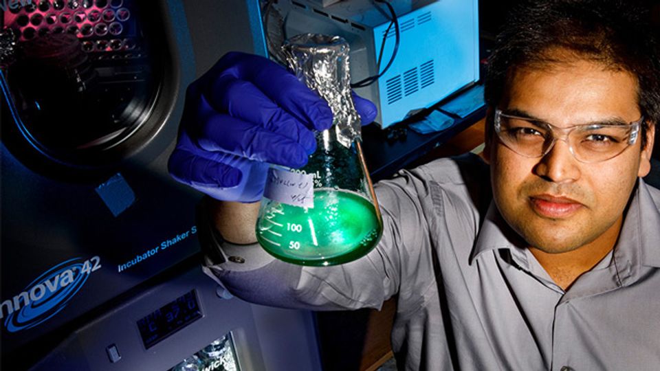 Viable Yeast–Cyanobacterial Hybrids Created content piece image