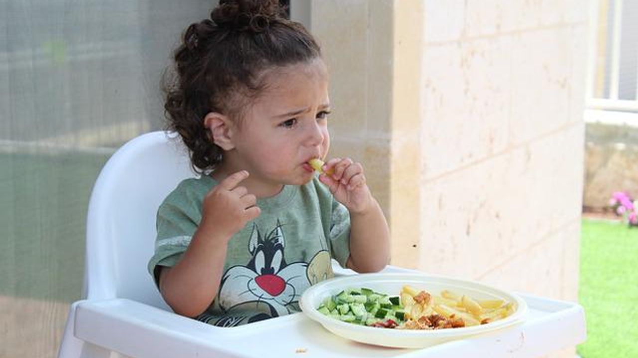 Does a Vegetarian Diet Adversely Affect Children's Growth and Nutrition?