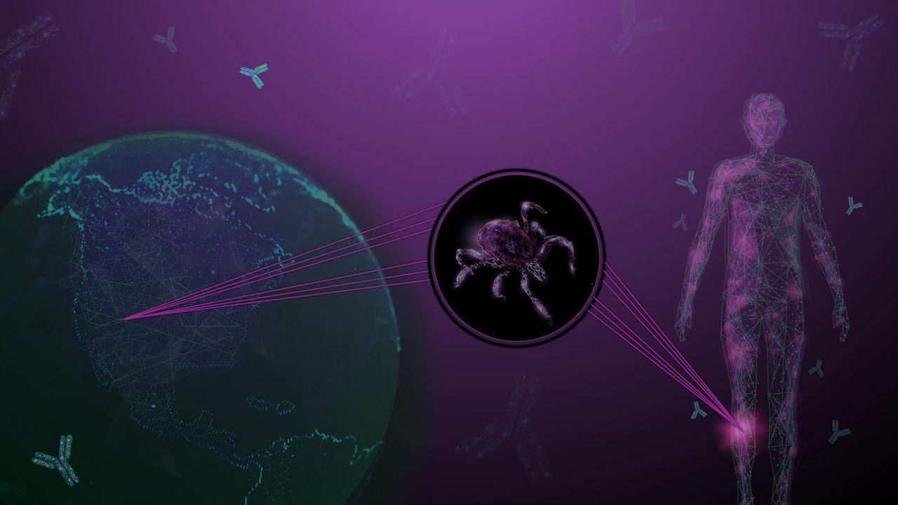 Evolution of Lyme Disease Testing and Future Perspectives