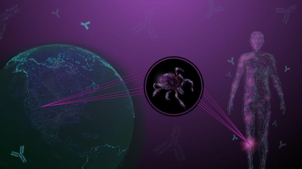 Evolution of Lyme Disease Testing and Future Perspectives content piece image