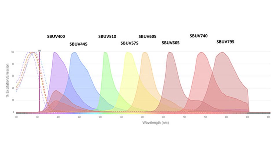Bio-Rad Enhances Multiplex Flow Cytometry with Three New StarBright UltraViolet Dyes content piece image