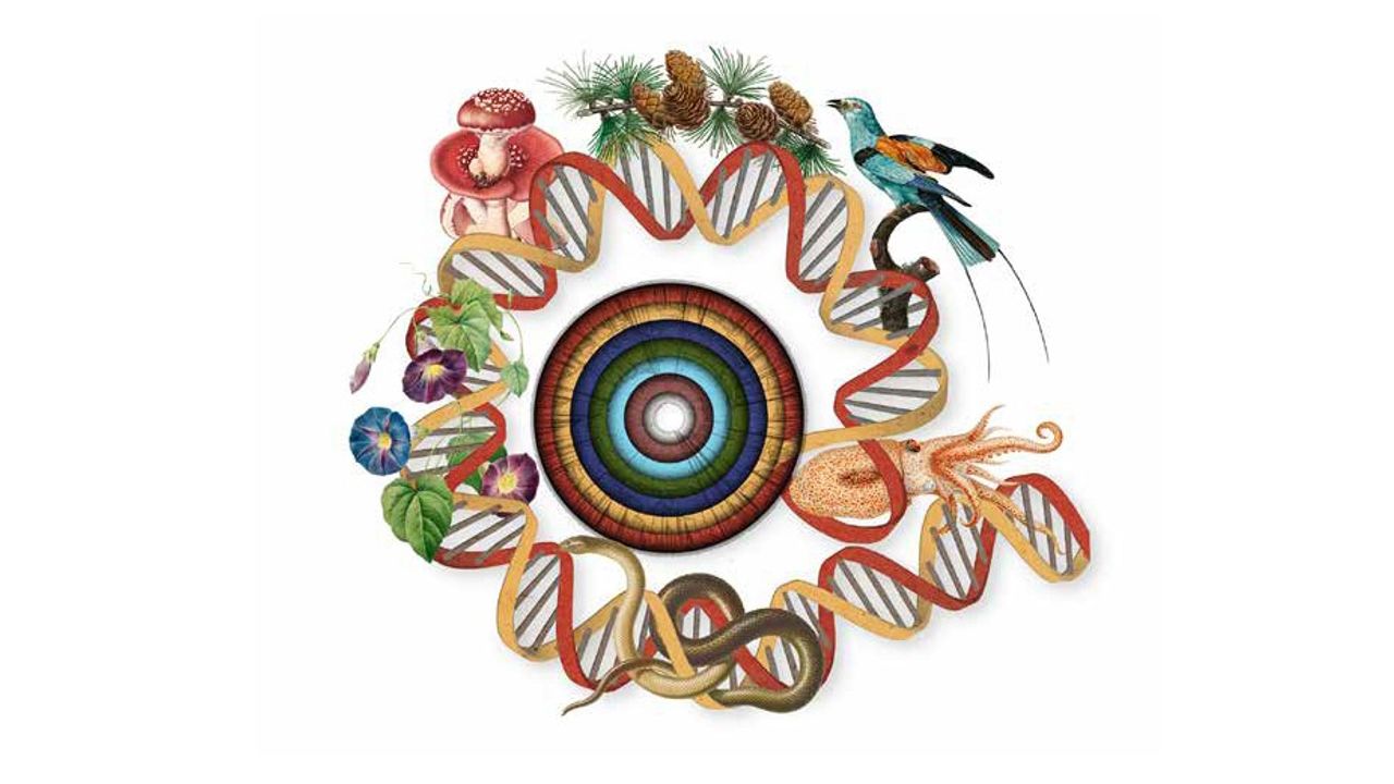 Sequencing Life on Earth, One Eukaryote at a Time