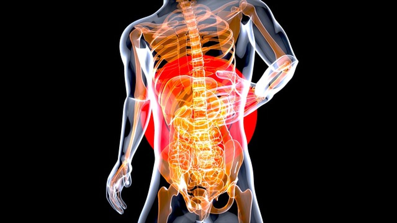 Diet Can Impact Potentially Harmful "Rotten Egg" Gas Production in Our Gut