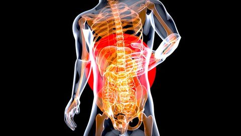 Diet Can Impact Potentially Harmful "Rotten Egg" Gas Production in Our Gut