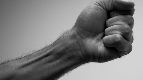 Repairing Tendons With Silk Proteins