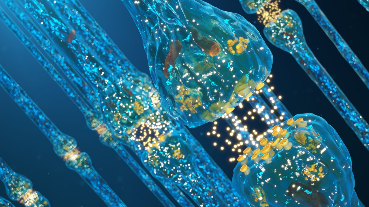 Alzheimer's Biomarker Study Prompts Brain Supplement Warning
