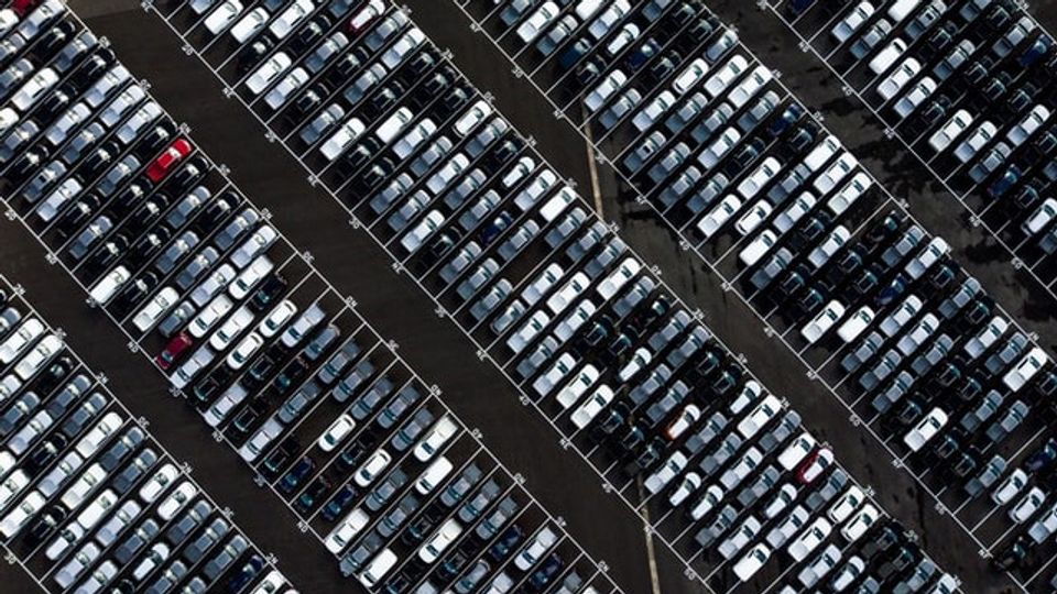 Finding Your Parked Car Requires a Newly Discovered Brain Circuit content piece image