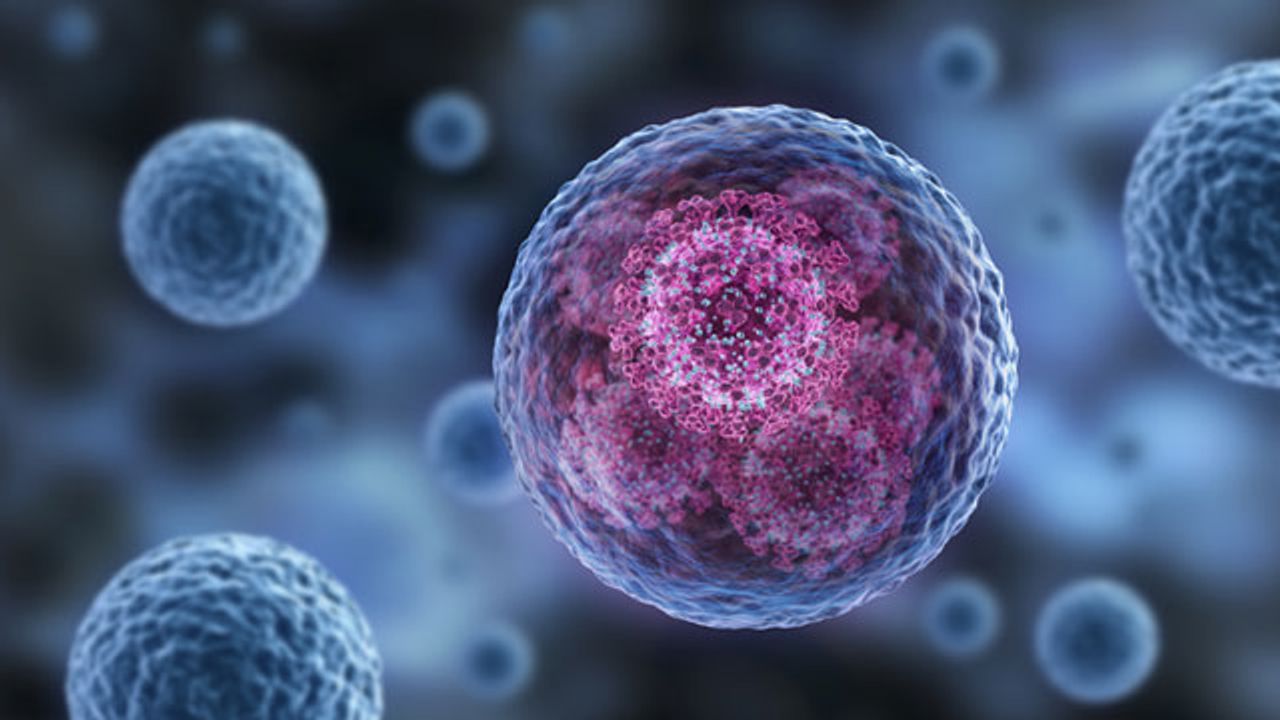 Shielding Oncolytic Viruses From the Immune System To Improve Cancer Treatment