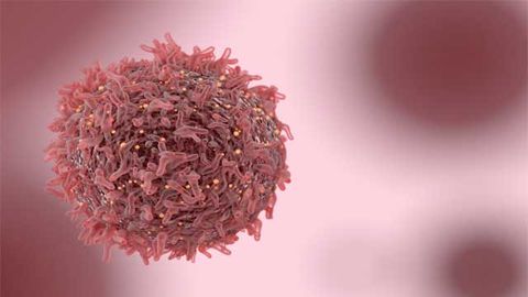 Team Maps Modified Protein‒Protein Interactions in Cancer