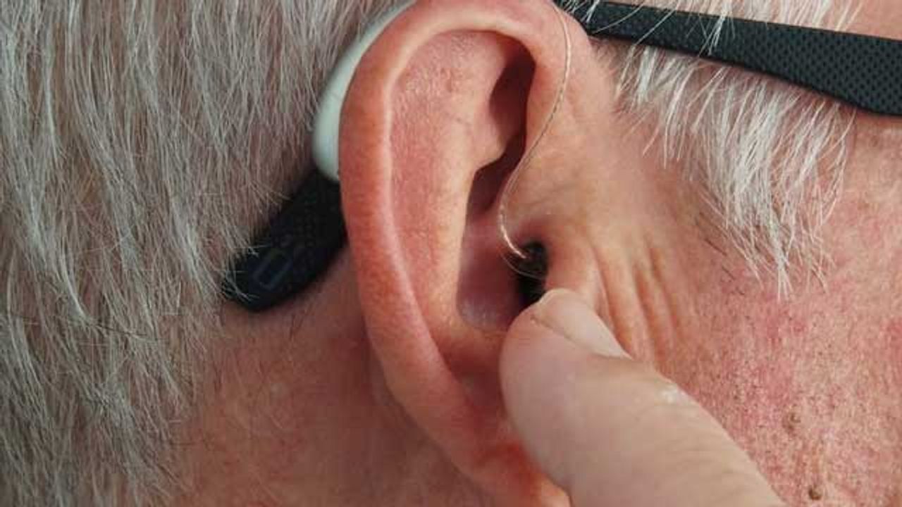 Discovery Could Help the Development of Cells To Restore Hearing