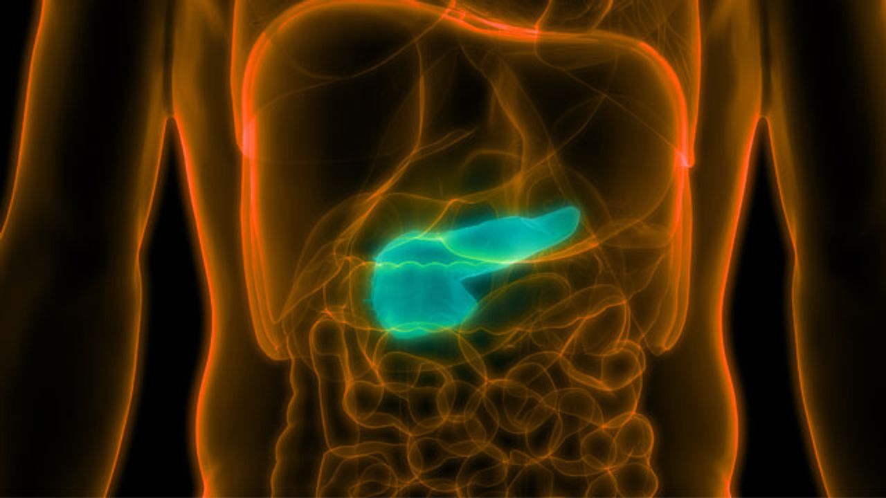 Re-Educating the Immune Response To Treat Type 1 Diabetes